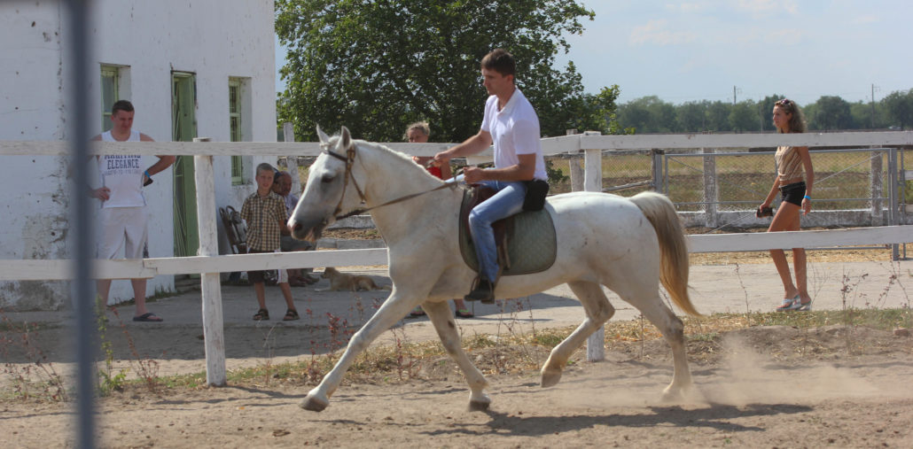 Бег по кругу -1