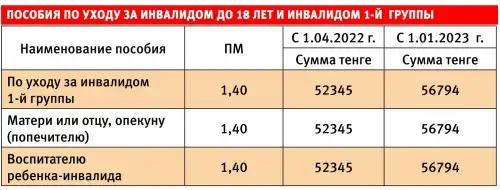Пособия по уходу за инвалидом в Казахстане в 2023 году