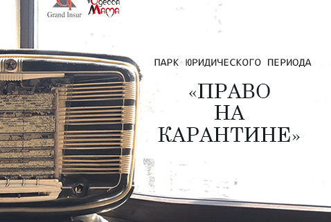Андрей Степаненко. Юрист. Карантин, COVID-19, самоизоляция. Вред для экономики. Ответственность за нарушение.