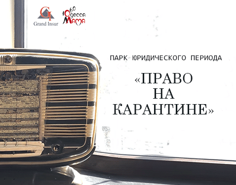 Андрей Степаненко. Юрист. Карантин, COVID-19, самоизоляция. Вред для экономики. Ответственность за нарушение.