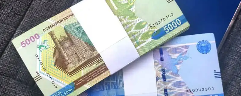 Субсидии в Узбекистане 2023